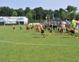 terborg-voetbaltoernooi-2017-GVD-3b155.jpg